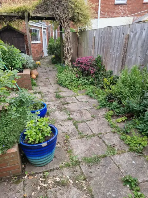Cracked, weedy paving and overgrown borders in a rear garden before landscaping