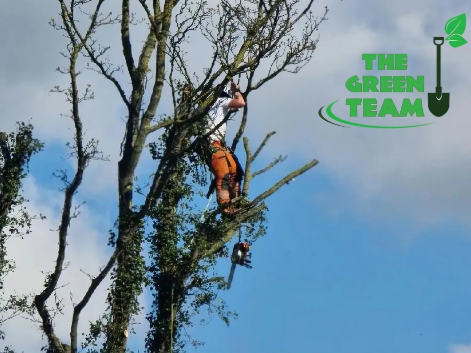 The Green Team Landscaping Services completed project in Shrewsbury, Wem and Shropshire
