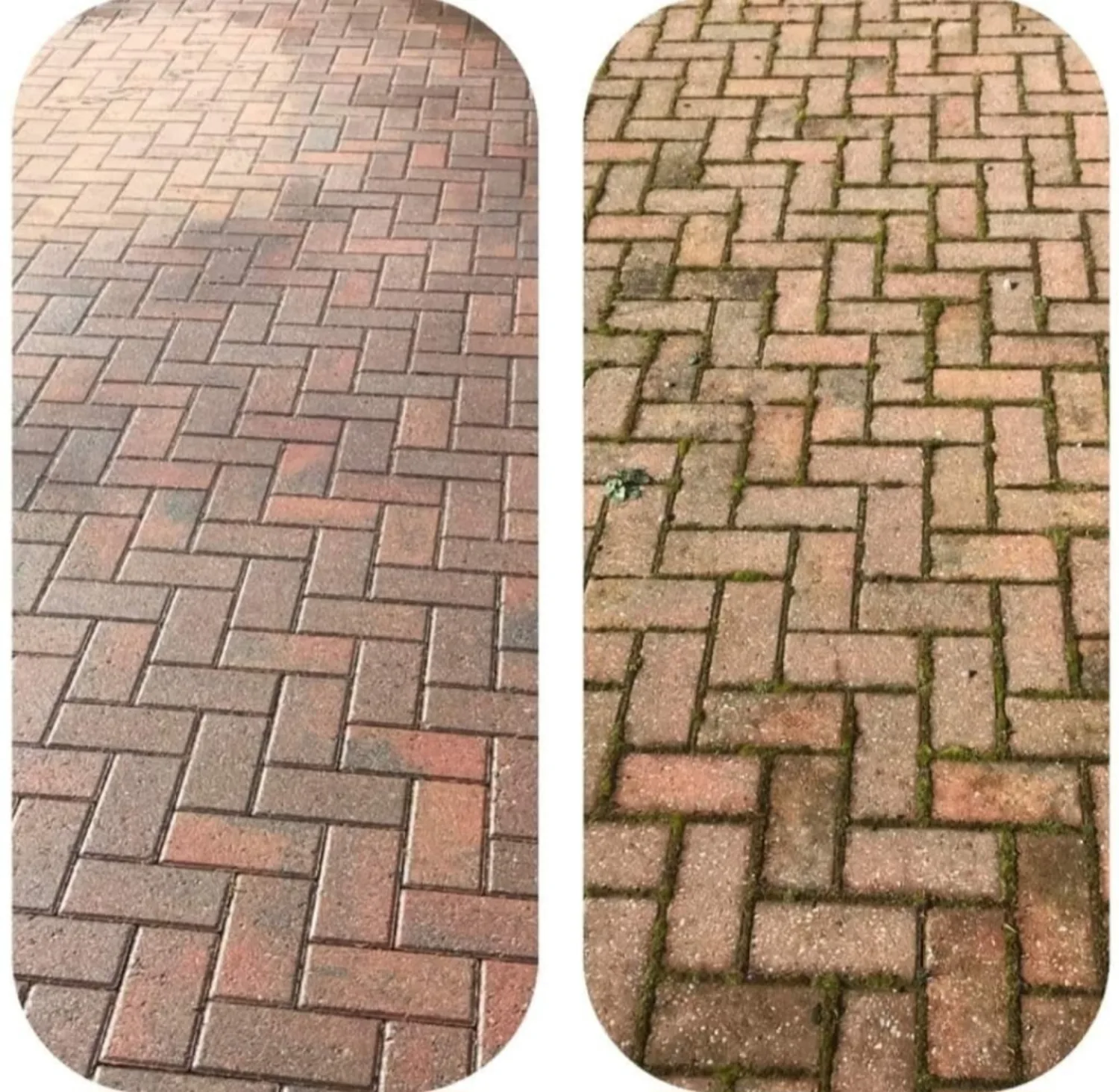 Green Team Landscaping Services project photo