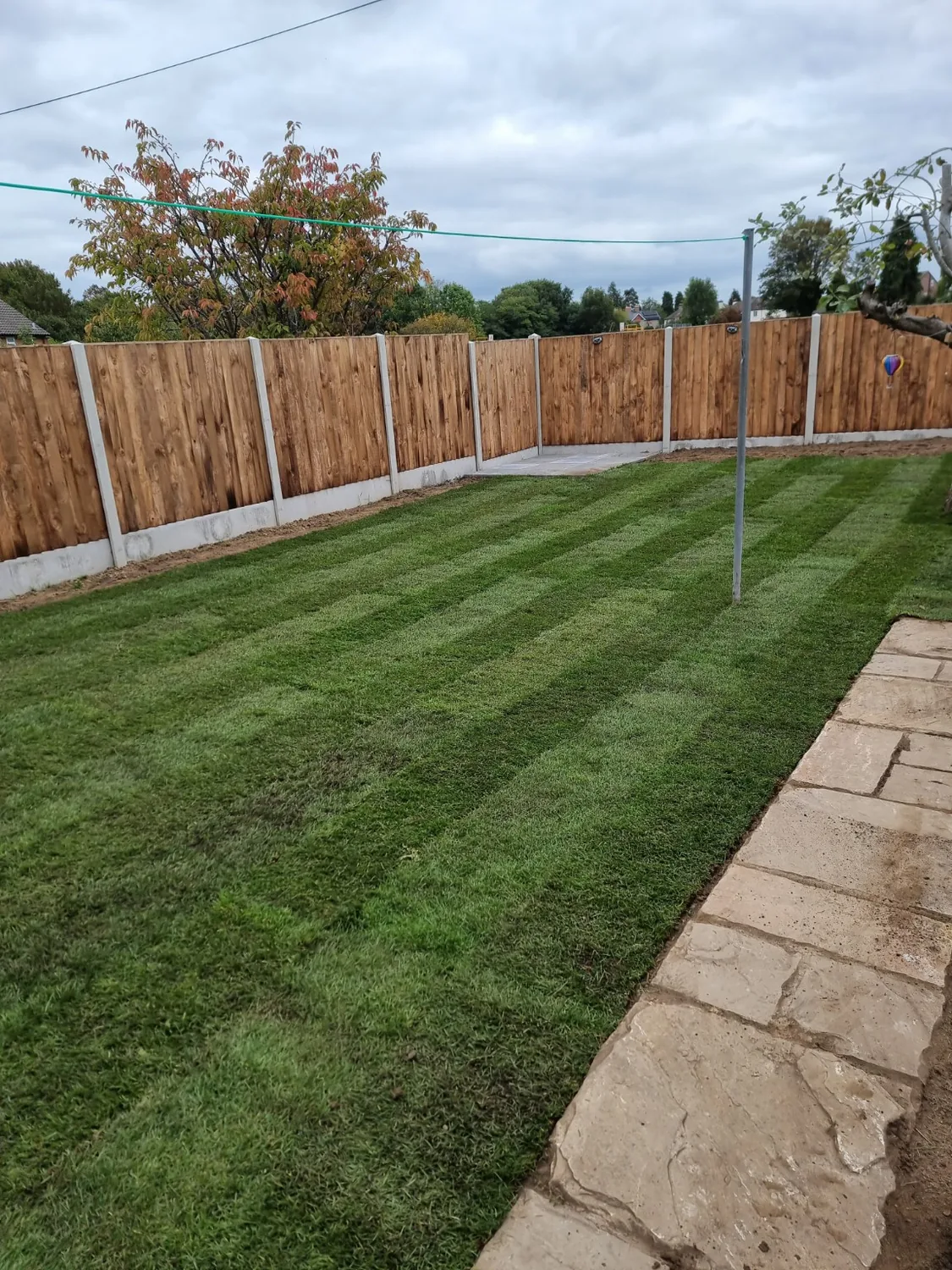 Green Team Landscaping Services project photo