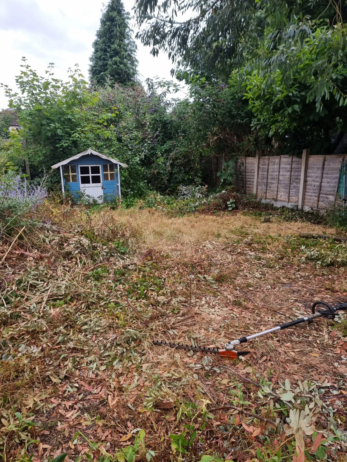 Green Team Landscaping Services project photo
