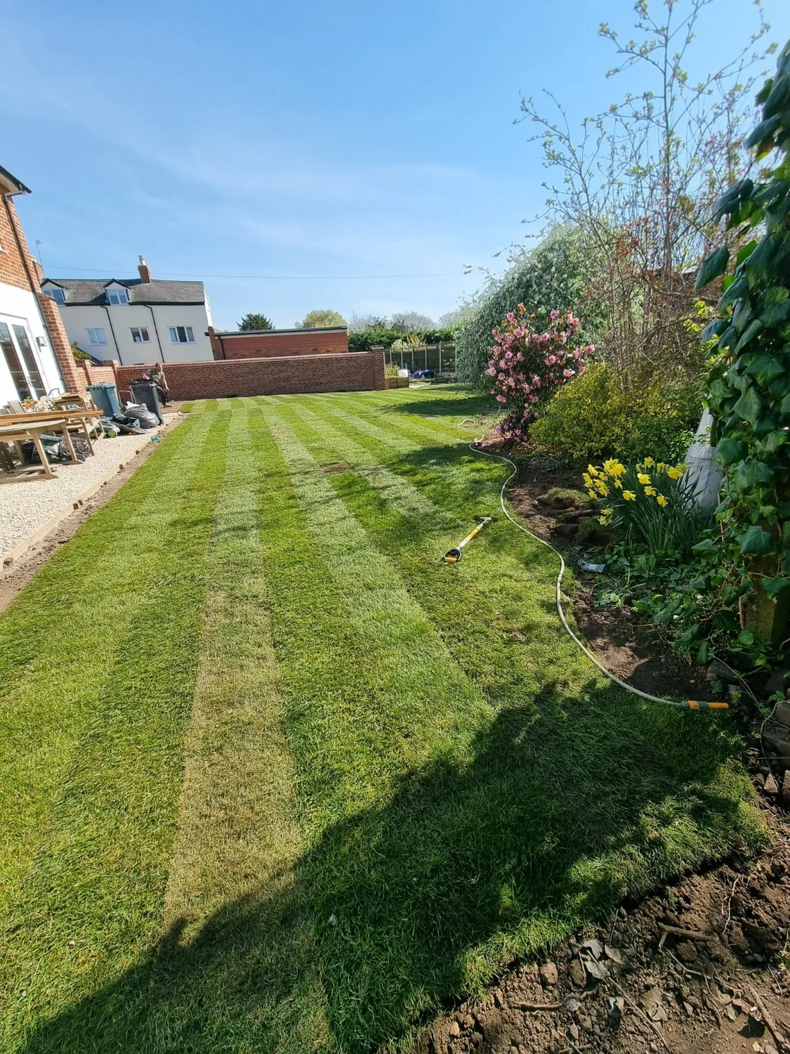 Green Team Landscaping Services project photo
